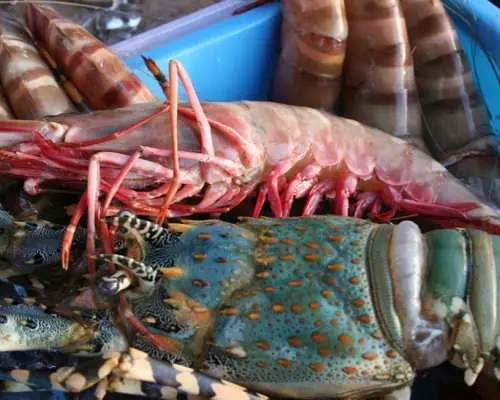 코타키나발루 핫 스팟 시티 일일투어+왕복 픽업 포함