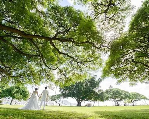 ハワイのワイキキにある緑豊かな公園を手をつないで散歩する新婚夫婦。雄大な木々の天蓋がユニークなウェディングフォトの背景を飾っています。