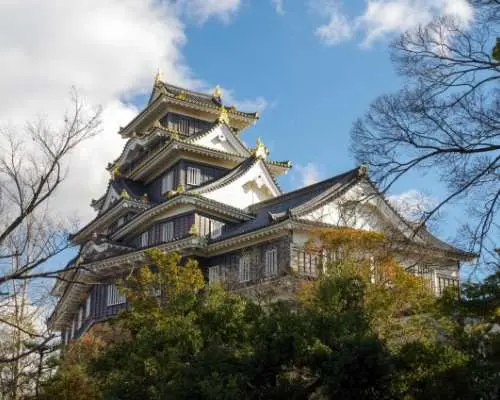 Okayama Cherry Blossom 1 Day Walking Tour with Boat Ride Experience and Town Strolling Coupon