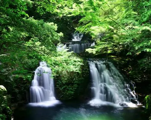 Các thác nước nhiều tầng chảy qua khu rừng xanh tươi của 48 thác Akame, Nabari, Mie, mang đến trải nghiệm đi bộ đường dài tự nhiên đầy sảng khoái.