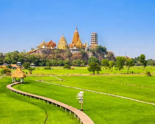 Thailand's Wat Tham Suea (Tiger Cave Temple) near Kanchanaburi's Meena Cafe, with its gleaming golden temple structures atop a hill, overlooking lush green rice fields and a wooden boardwalk.