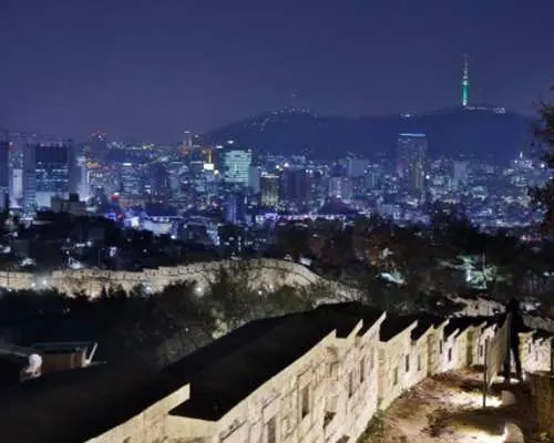 人気夜景スポットを巡るナイトツアー 広蔵市場＋昌慶宮＋清渓川＋駱山公園へ（韓国 ソウル・半日ツアー）