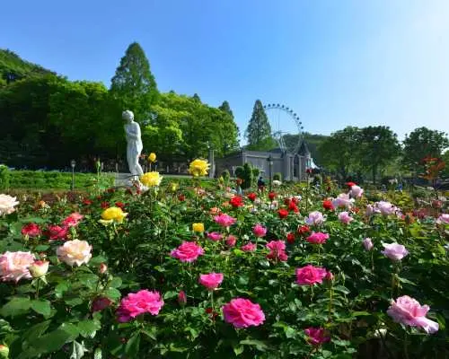 Everland Theme Park Admission Ticket in South Korea