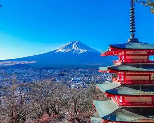 【日本】富士山花田2天團｜輕井澤夢幻美景、大石公園、白絲瀑布、入住八岳森林小木屋｜東京出發