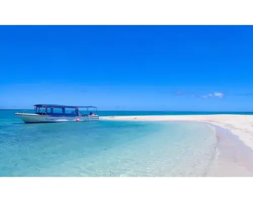 幻影島之旅（僅登陸）和海灘上的各種體驗之旅+竹富島觀光 - 不會游泳的人也可以 - 設備和物品免費租賃（沖繩荒島之旅）