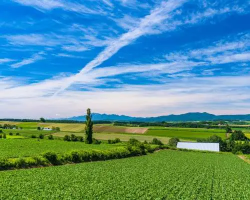 日本北海道｜旭山動物園・富良野美瑛・青池巴士一日遊｜札幌出發