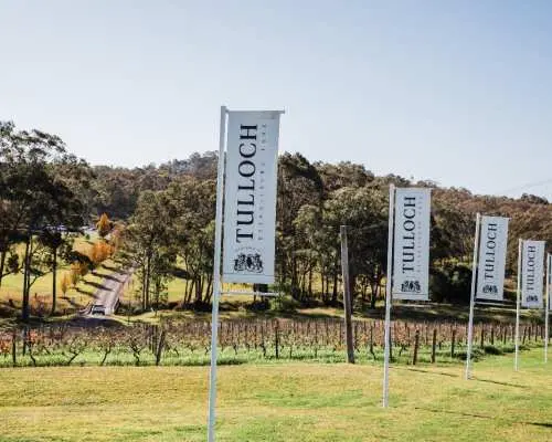 Entrance to Tulloch Wines estate in Pokolbin, New South Wales, marked by a row of branded flags leading to lush vineyards and rolling hills under a clear sky.