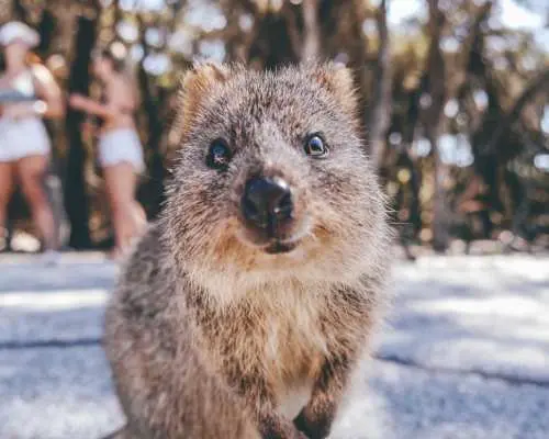 A 7-Day Pink Ocean Adventure in Western Australia | Departing from Perth