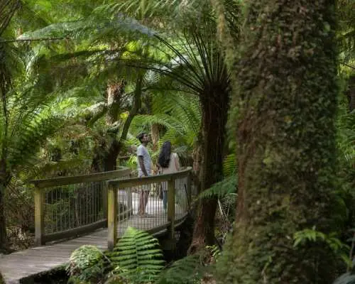 ทัวร์ถนน Great Ocean Road & Otway Forest Discovery แบบ 2 วัน 1 คืน | เมลเบิร์น