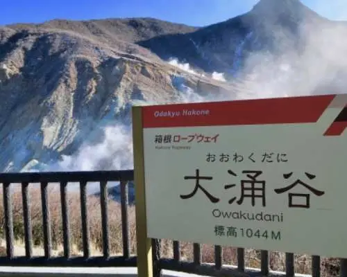 東京富士山五合目＆御殿場Premium Outlets＆大涌谷・蘆之湖豪華巴士一日遊