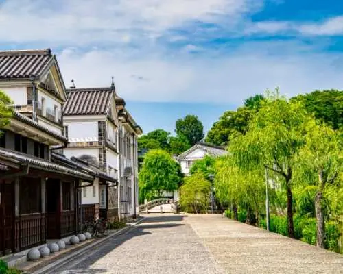 Okayama 1-Day Trip | Kibitsujinja Shrine, Kurashiki Bikan Historical Area, Ushimado Olive Garden | Depart from Osaka