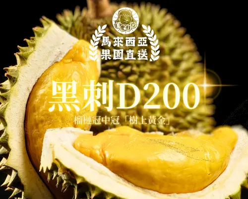 [Malaysia direct delivery of durian] 'Self-fertility fresh food' Musang King D197, Pahang, Malaysia. Malaysia D200 Black Thorn Durian (2.2KG-2.5KG 1 original fruit) / (about 5KG - 2-3 original fruits) / (about 10KG - 4-5 original fruits) | Merchant direct delivery free shipping