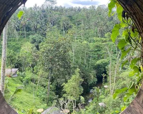 サングラロカ ファーム リトリート : バリ島で探検、創造、そして元気を取り戻そう |インドネシア
