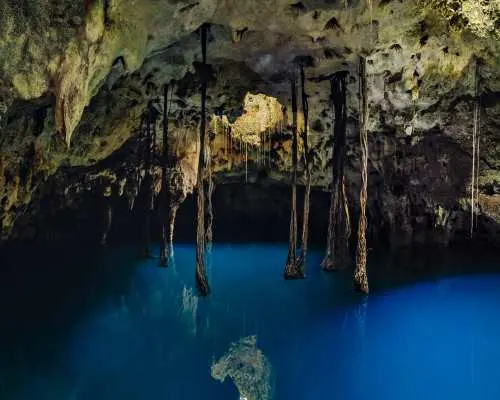 Xenotes 旅游门票（含酒店接客服务）坎昆