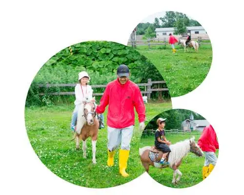 北海道 美瑛｜ポニー乗馬体験｜ファームズ千代田・ふれあい牧場