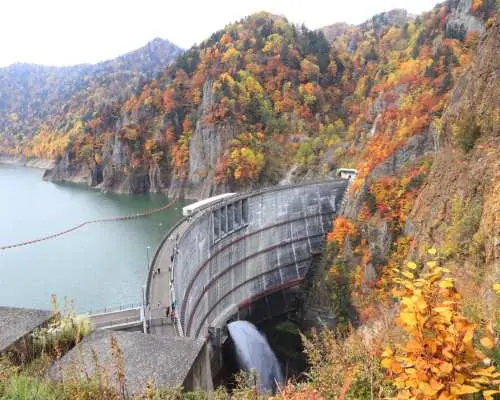 【日本旅遊】北海道賞楓 MINI TOUR 5日｜豐平峽大壩.美瑛青池.金秋銀杏大道.黑岳纜車.藻岩山夜景｜台灣虎航．4人成行