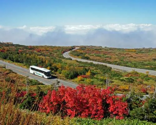 【季节限定】立山黑部＋上高地2天1日游 ｜中文领队同行（名古屋出发）