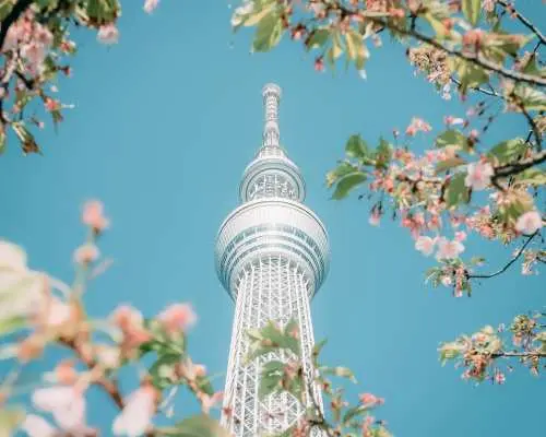 樂桃航空・桃園出發｜東京機加酒自由行 5 日・自選市區飯店＆入住天數｜早去晚回