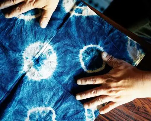 Food Sample Making & Indigo Dyeing Experience in Asakusa