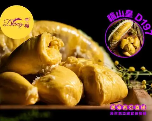帝一榴｜全新 FARM TO TABLE 馬來西亞果園直送 即開即食 新鮮榴槤果肉｜黑刺｜貓山王｜冰淇淋質感冷凍榴槤果肉｜馬來西亞國宴級榴槤品牌｜香港送貨上門