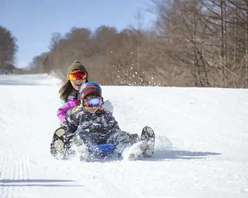 [Limited Time Sale] Miyagi Zao Eboshi Resort: Super Early Bird Advance 1-Day Lift Ticket for Adults | Japan