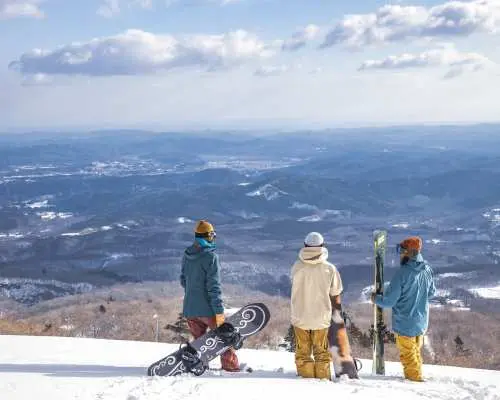 [Limited Time Sale] Miyagi Zao Eboshi Resort: Super Early Bird Advance 1-Day Lift Ticket for Adults | Japan