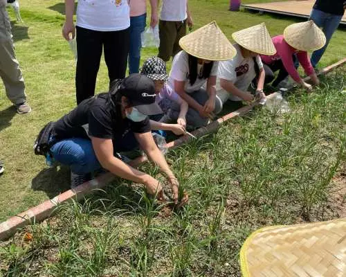 秋高氣爽．流水響及富萊農莊種植體驗一日遊連3小時BBQ任食、享受釣蝦釣魚｜九龍塘出發
