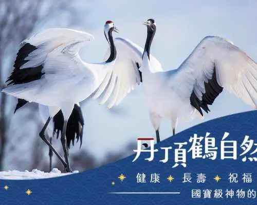 【日本旅遊】北海道團體旅遊5日｜破冰船.冰釣戲雪.無邊際溫泉.和牛螃蟹放題｜華航或長榮