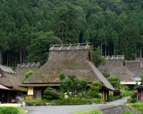 One-day Kansai Region Chartered or Customized Tour｜Osaka, Kyoto, Kobe, and Other Regions | Japan