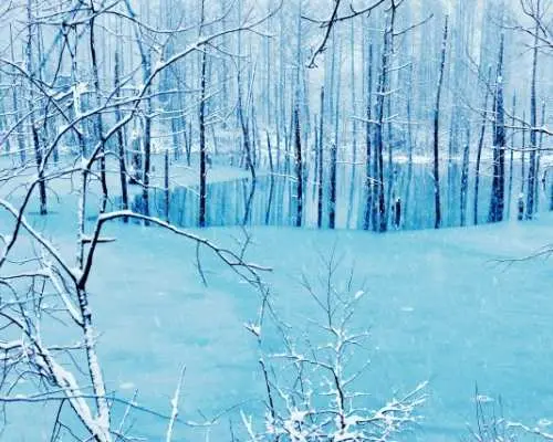 【日本｜觀賞期間冰瀑祭】 北海道溫泉賞雪2天團｜網走破冰船體驗＆旭川動物園-企鵝巡遊＆美瑛青池點燈｜札榥出發