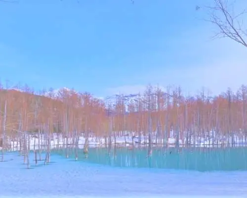 【日本｜觀賞期間冰瀑祭】 北海道溫泉賞雪2天團｜網走破冰船體驗＆旭川動物園-企鵝巡遊＆美瑛青池點燈｜札榥出發