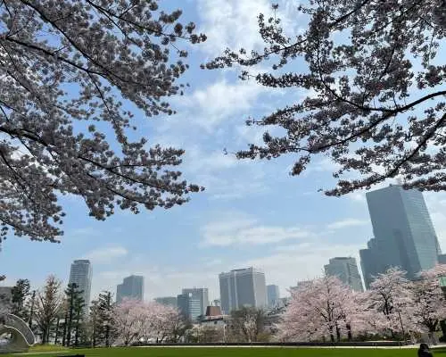 Tokyo departure Tokyo sightseeing 10 hours chartered vehicle day tour
