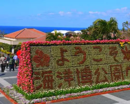 沖縄北部日帰りバスツアー｜万座毛・古宇利島・美ら海水族館・アメリカンビレッジ｜全アトラクション入場料込み