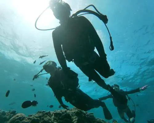 Blue Cave Trial Diving + Onna Village Sea Walk with Photo Data Service (Onna Village, Okinawa)