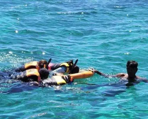 [For Koreans Only] Cebu Hopping Tour (Morning Departure, Snorkeling, Seafood Lunch, Massage Optional)