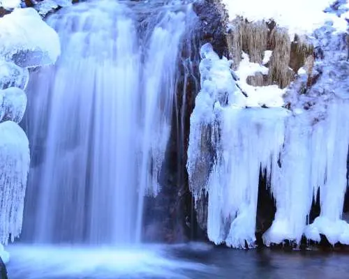 ออกเดินทางจากโตเกียว | ทัวร์ส่วนตัวแบบเช่าเหมาลำที่นิกโก้หรืออาชิคางะ/ซาโนะ | ศาลเจ้านิกโก้โทโชกุ & น้ำตกเคงอน & สะพานชินเคียว & กระเช้าลอยฟ้าอะเคจิไดระ หรือ ศาลเจ้าโอริฮิเมะ & สวนดอกไม้อาชิคางะ & ซาโนะพรีเมียมเอาท์เล็ท