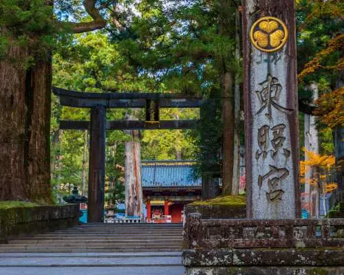 ออกเดินทางจากโตเกียว | ทัวร์ส่วนตัวแบบเช่าเหมาลำที่นิกโก้หรืออาชิคางะ/ซาโนะ | ศาลเจ้านิกโก้โทโชกุ & น้ำตกเคงอน & สะพานชินเคียว & กระเช้าลอยฟ้าอะเคจิไดระ หรือ ศาลเจ้าโอริฮิเมะ & สวนดอกไม้อาชิคางะ & ซาโนะพรีเมียมเอาท์เล็ท