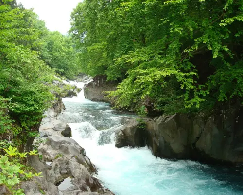 ออกเดินทางจากโตเกียว | ทัวร์ส่วนตัวแบบเช่าเหมาลำที่นิกโก้หรืออาชิคางะ/ซาโนะ | ศาลเจ้านิกโก้โทโชกุ & น้ำตกเคงอน & สะพานชินเคียว & กระเช้าลอยฟ้าอะเคจิไดระ หรือ ศาลเจ้าโอริฮิเมะ & สวนดอกไม้อาชิคางะ & ซาโนะพรีเมียมเอาท์เล็ท