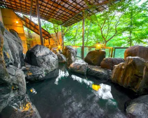 【即時予約確定】鬼怒川温泉 鬼怒川パークホテルズ　湯めぐり券  日帰り温泉プラン  予約（栃木県 日光市・温泉）
