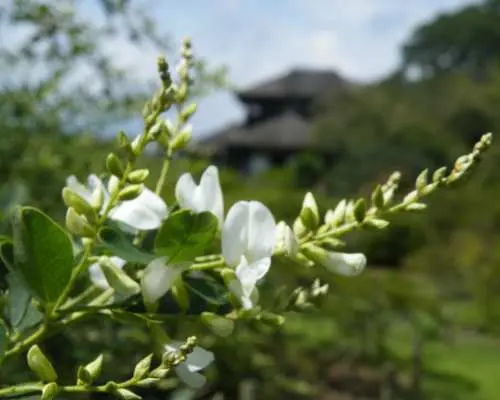 好文亭门票