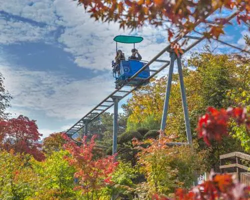 DMZ、南怡島、泛舟一日遊 | 首爾出發