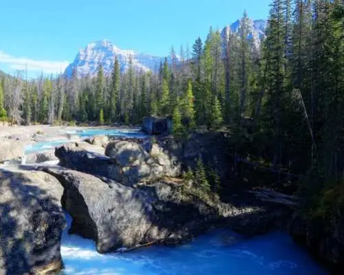 Summer Only | YOHO & Banff National Park & Columbia Icefield 2-Day Tour from Calgary｜Alberta