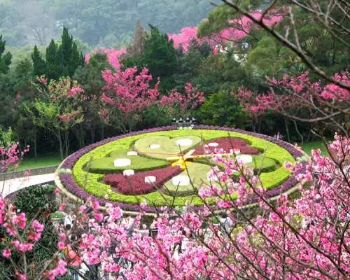 【2024楓葉季 / 芒花季】台北陽明山北投包車一日遊 | 北投溫泉．草山行館．竹子湖．小油坑．地熱谷 | 中英日韓服務