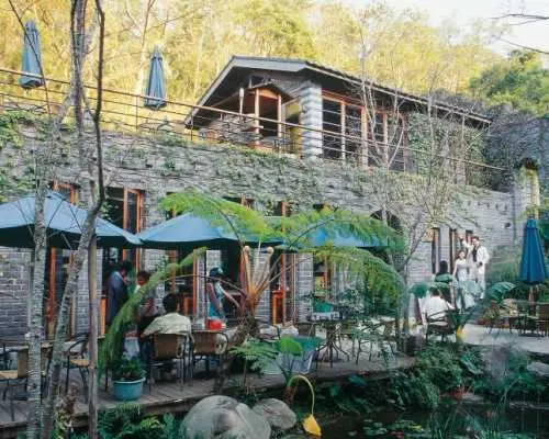 [Private Attractions] Miaoli Chartered One-Day Tour: Wugayan Bamboo Forest Tunnel, Green Leaf Ark, Valley of the Gods, Zhuolan Grand Canyon & Old Cross-Hong Kong Tunnel (Departing from Taipei) | Taiwan