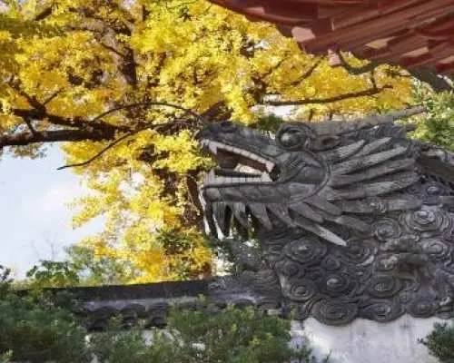 【1-12人包團】中國上海｜豫園中英雙語私人講解服務｜含門票+耳麥