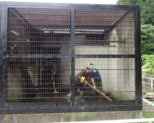 宇都宮動物園 サマーキャンプチケット予約 竹あかり制作＋夜の竹林散策＋うどん作り体験（栃木県）