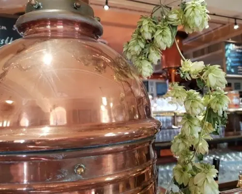 Dresden craft beer tour