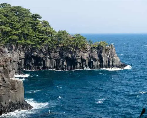 【夏日限定】热海海上烟火大会二日游｜富士野生动物园＆大室山＆城崎海岸＆十国峠展望台｜东京出发