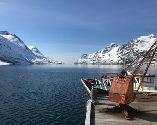 ทัวร์ฟยอร์ดส่วนตัวจากทรอมโซด้วยรถยนต์ TeslaX