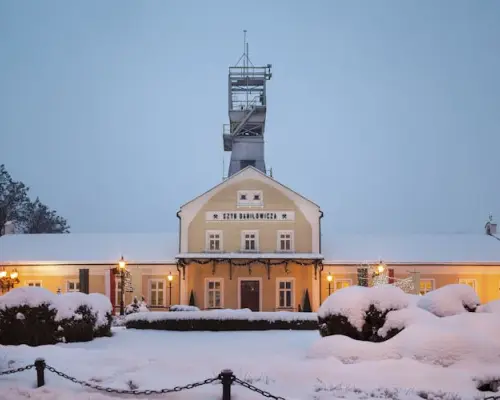 Wawel Castle, Cathedral and Wieliczka Salt Mine guided tour with lunch